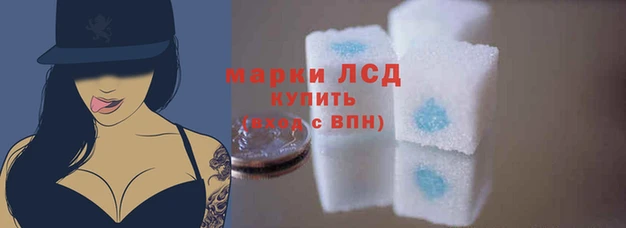 ALPHA PVP Бородино
