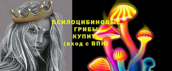 молекула духа Бугульма